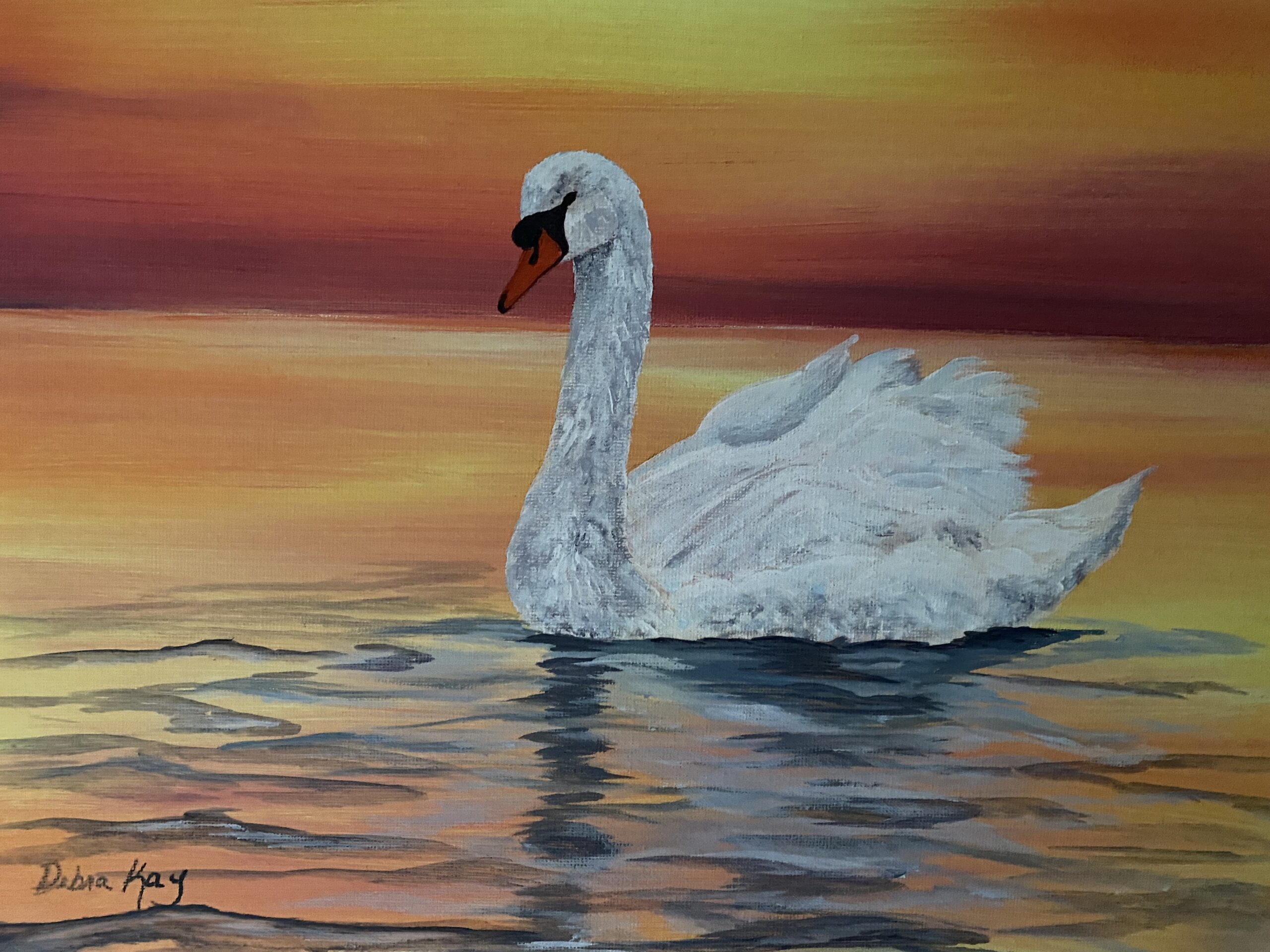 Swan on lake in the sunset