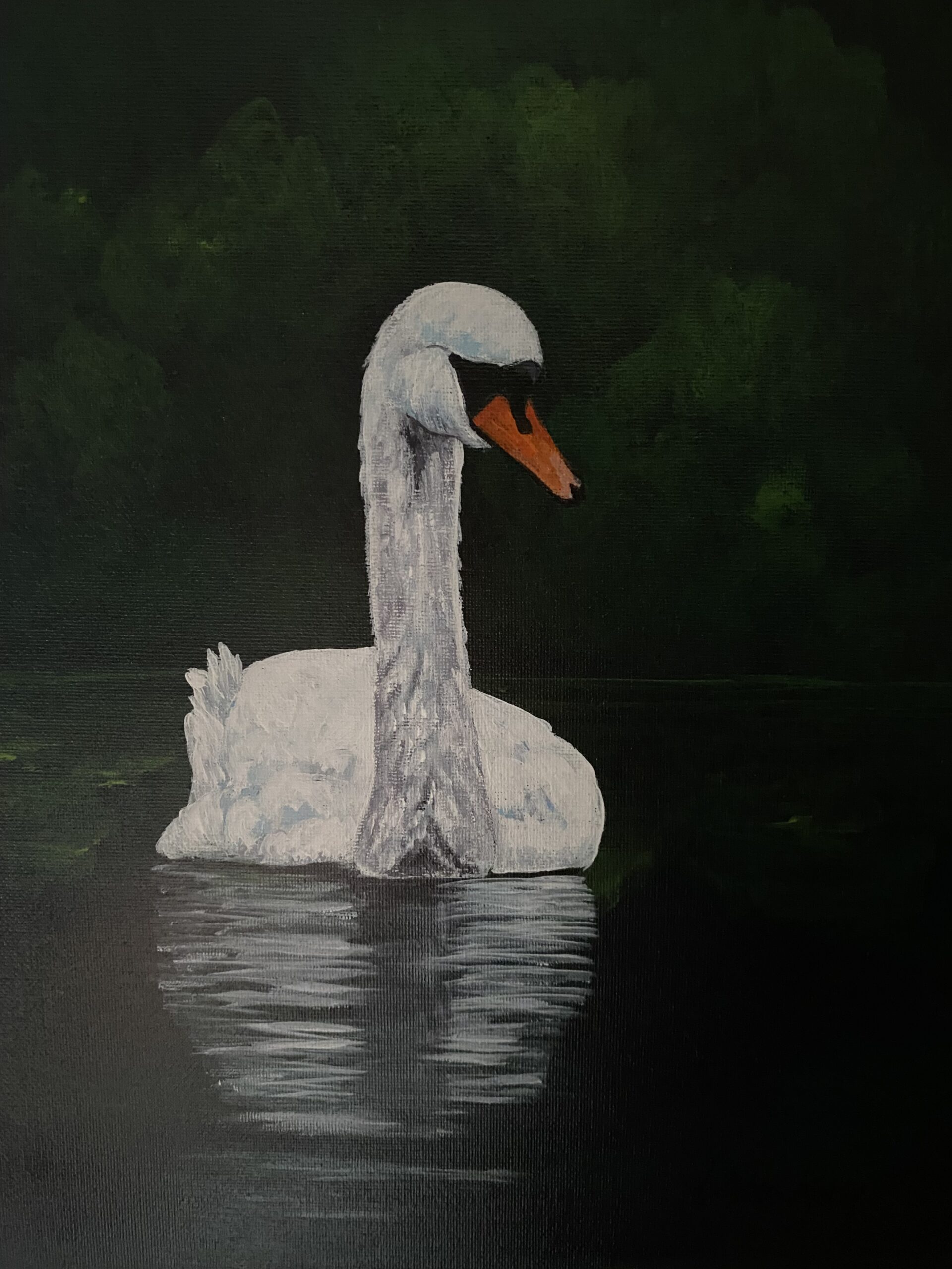 White swan by green shoreline