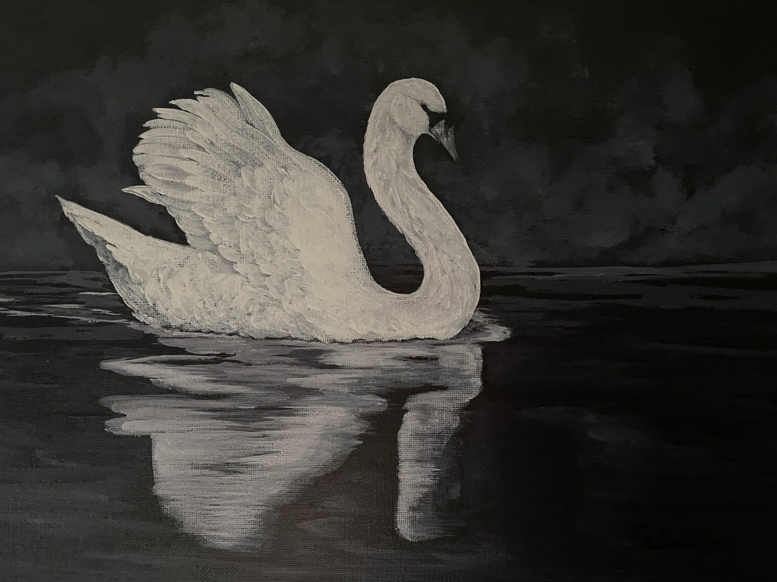 Swan on lake in black and White