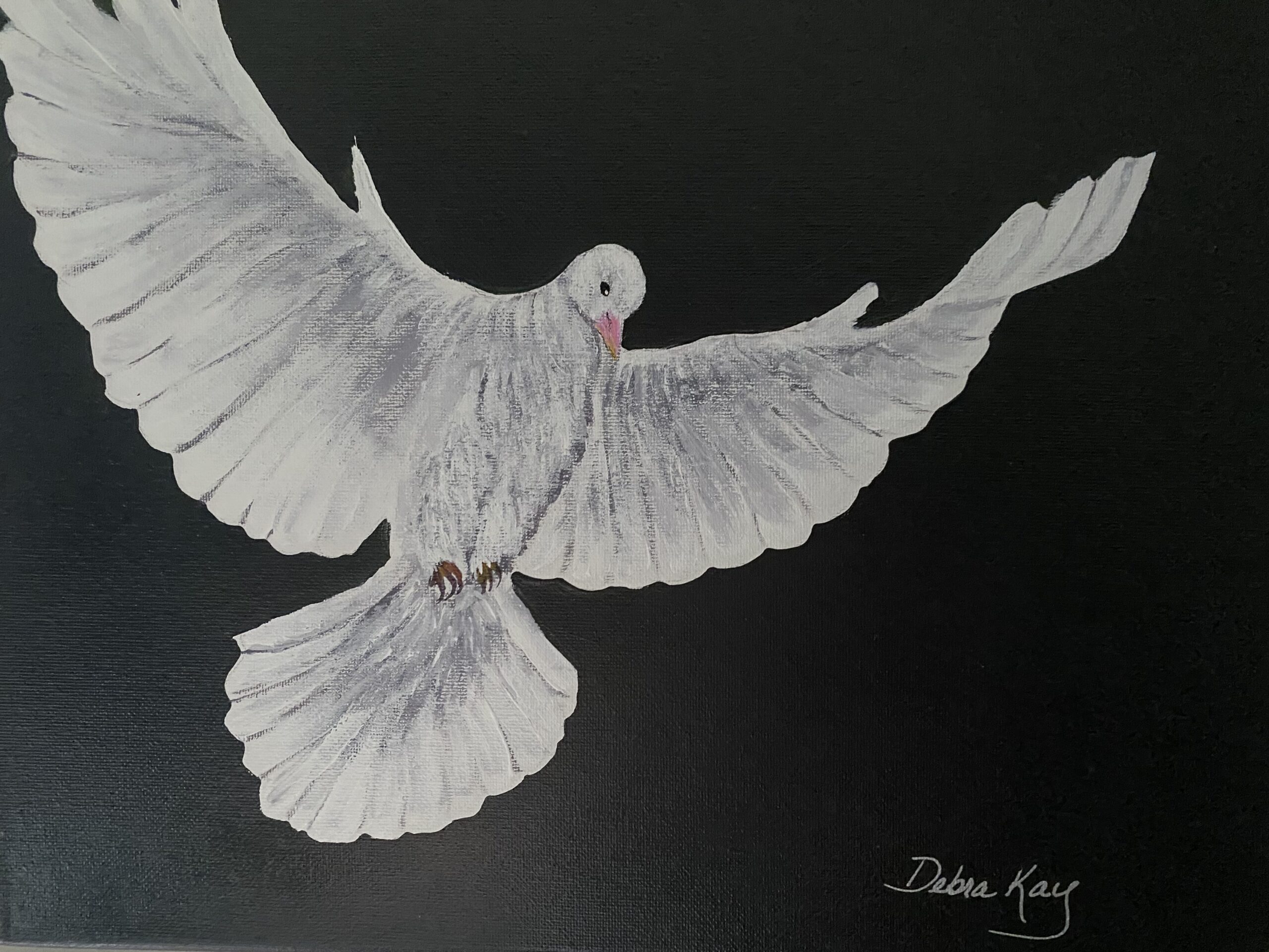 white dove on black background