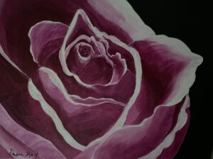 Painting of a magenta rose