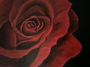Picture of red rose