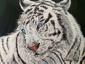 Blue eyed white tiger
